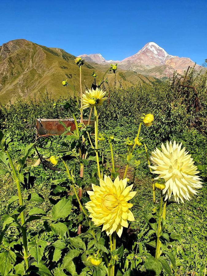 Nikolo Inn Kazbegi Exteriör bild